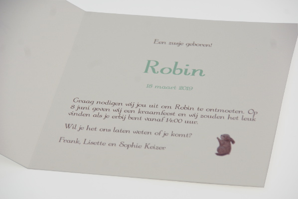 geboortekaartje robin lichtgroen